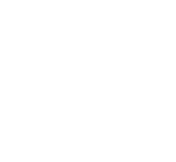 Zurich AI Safety (ZAIS) logo