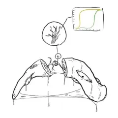 Mech Interp Discord logo