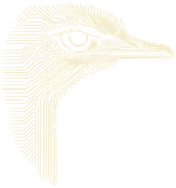 AI Safety South Africa logo